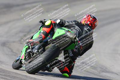 media/Feb-04-2024-SoCal Trackdays (Sun) [[91d6515b1d]]/4-Bowl Backside (11am)/